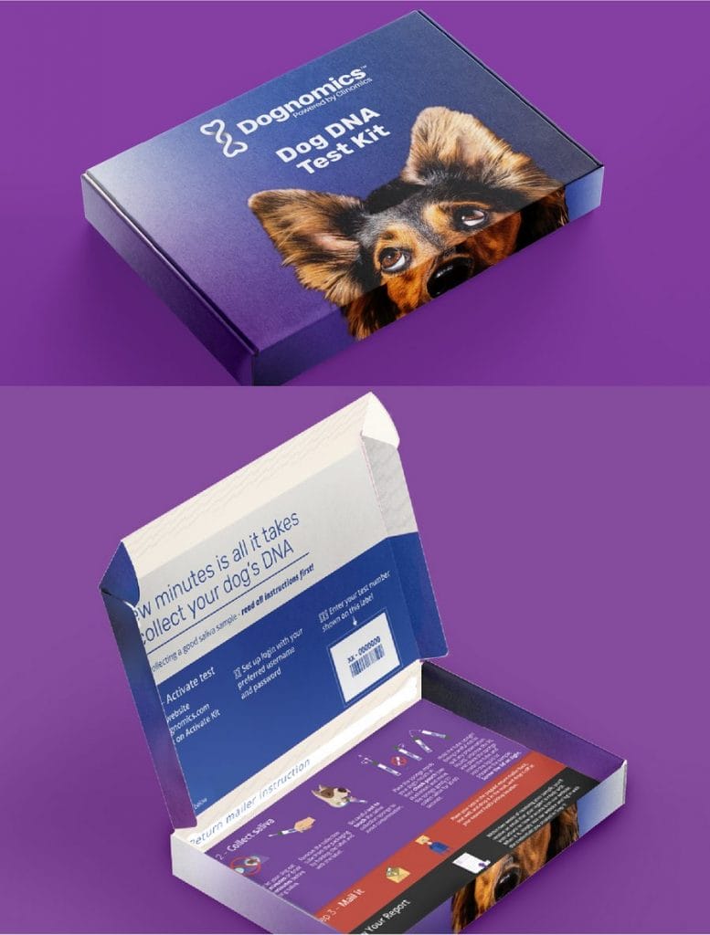 Dognomics' packaging mockups