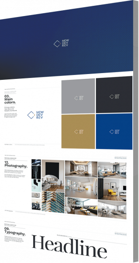 Branding strategy agency portfolio example: NewDevRev