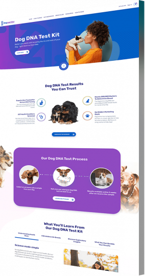 Web design agency portfolio example: Dognomics