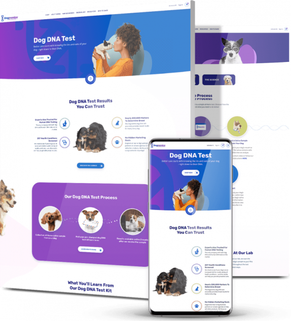 eCommerce development featured example: Dognomics