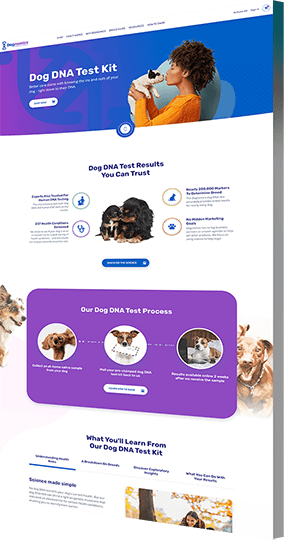 Web design company B2C project for Dognomics